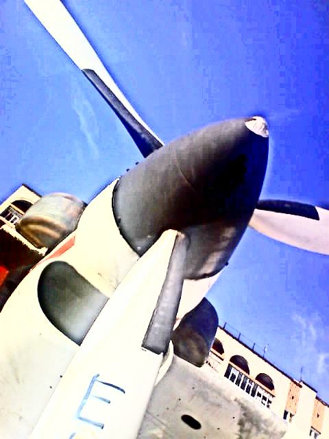 miss.sky