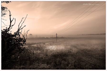 Ранним туманным утром B&W