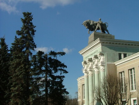 здоровое питание