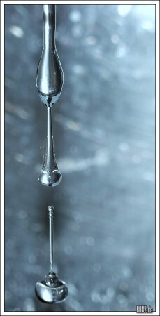 Wasser-16.jpg