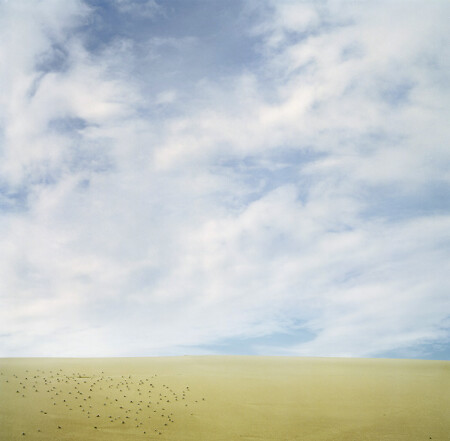 birds, clouds & a sand