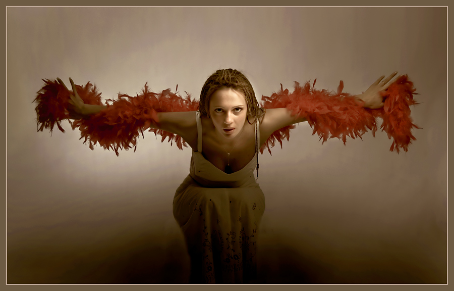 ...HARD BIRD...