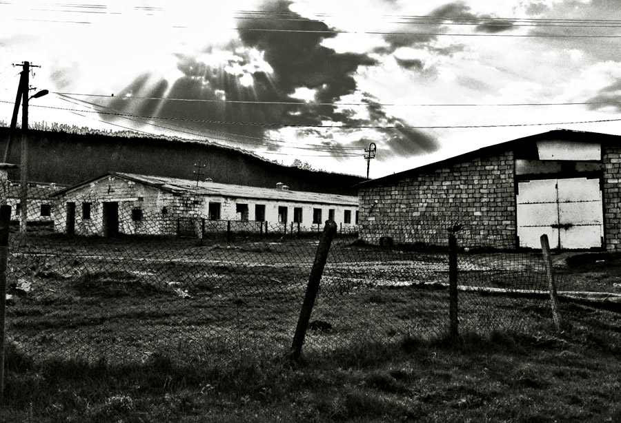 жёсткая, колючая фотография