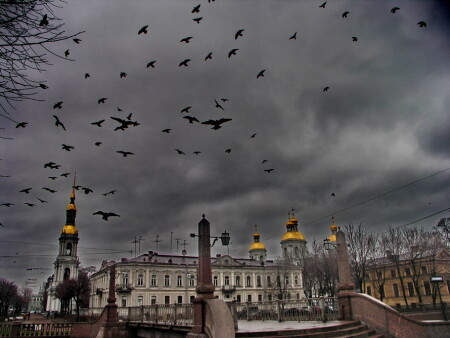 Птички