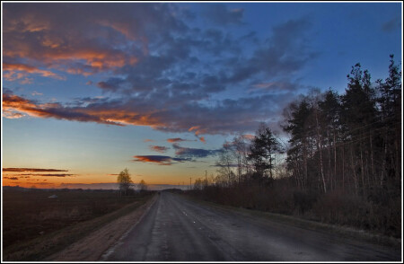 По дороге домой