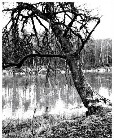 Земное тяготение