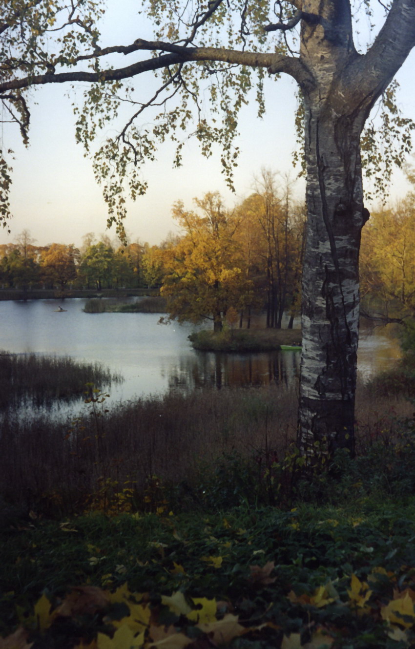 Осенний парк
