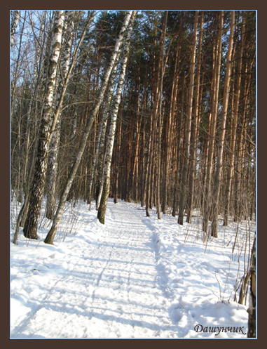 Рельсы, рельсы, шпалы, шпалы….