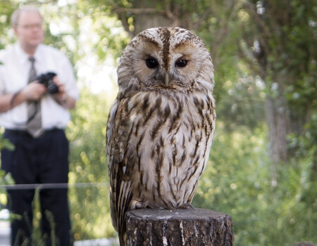 фотосессия