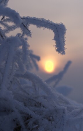 Уставшее солнце