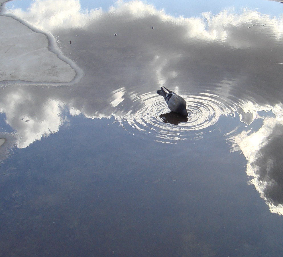 Неба воды глоток
