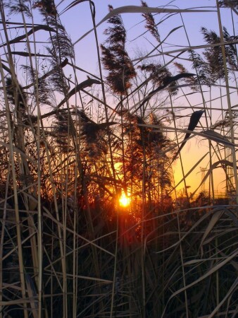 Восход над Парнасом