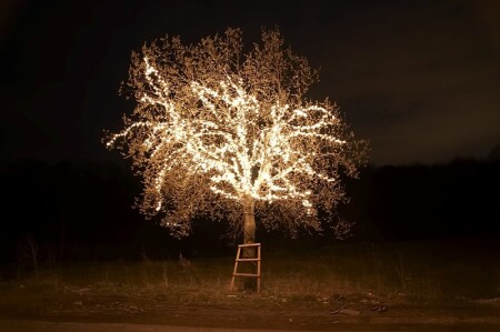 Дерево счастья