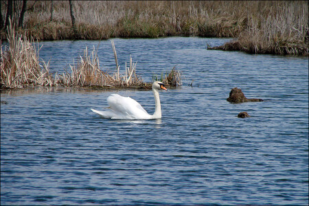 пока что холостой