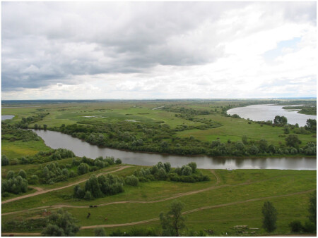 Елабуга. Шишкинские места.