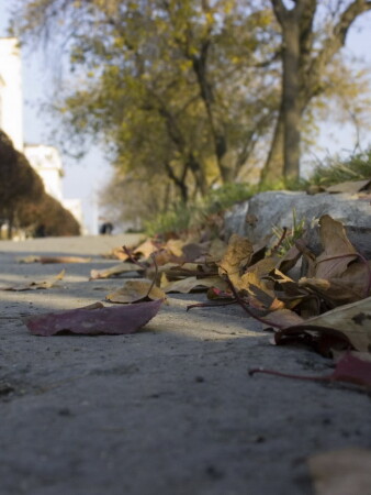 Осень в городе