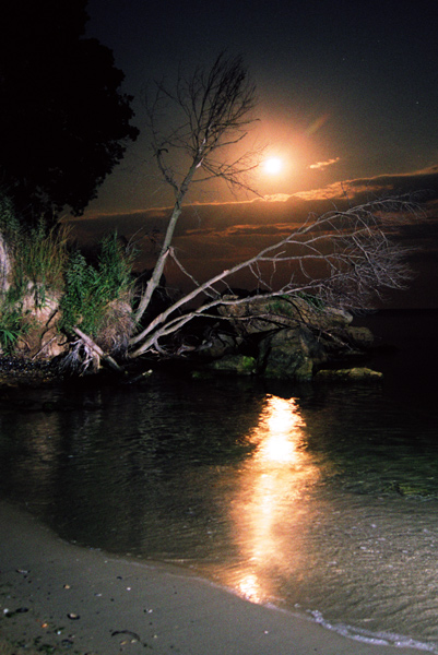 Kara Dere-3