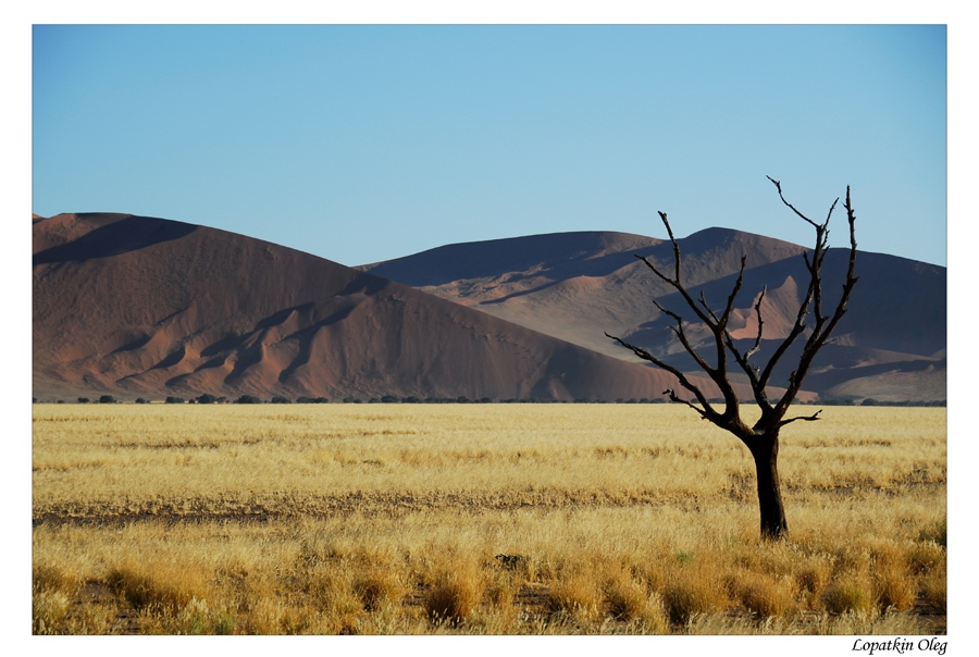 На восходе по пути к Dead Vlei