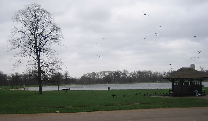 Round Pond