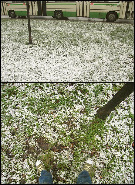 бело-зелёное и чёрные палочки