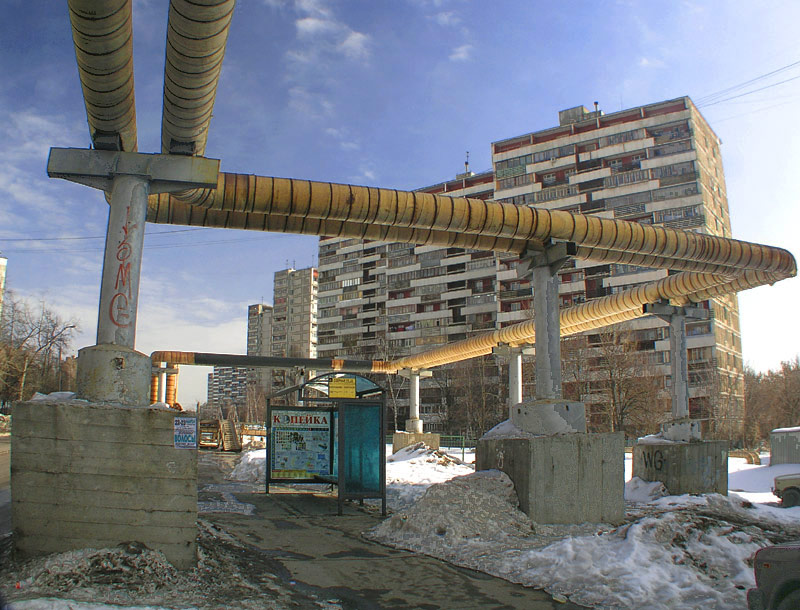 Ползучая