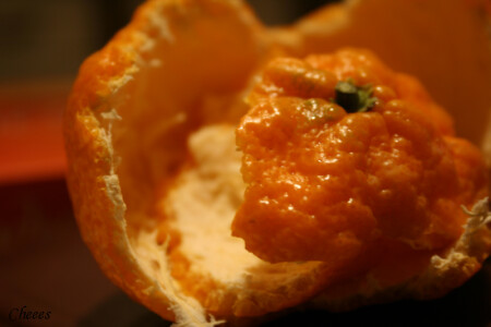 новогодняя шкура