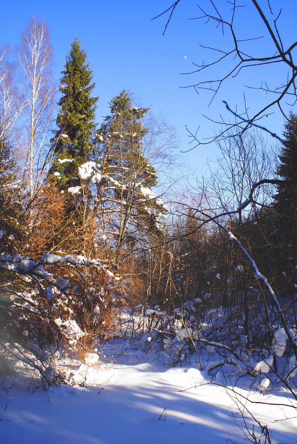 Была зима