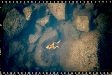 Cold water
