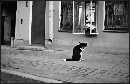 Одиночество