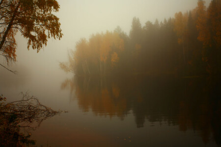Карелия, оз. Сухое