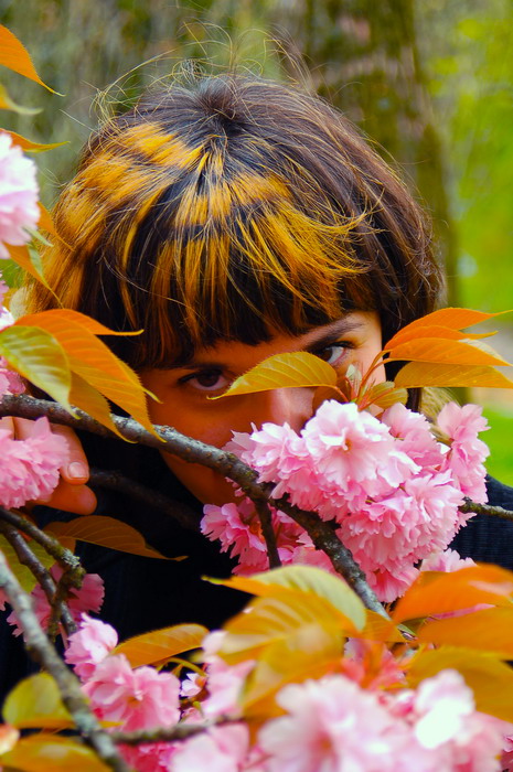 Девушка и сакура