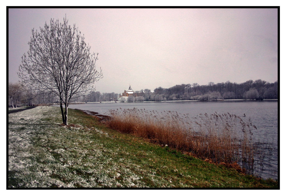 Nesvig