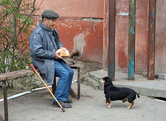 Эх, дружок...