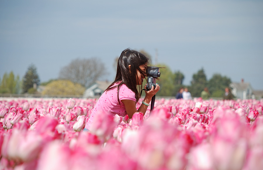 tulip girl