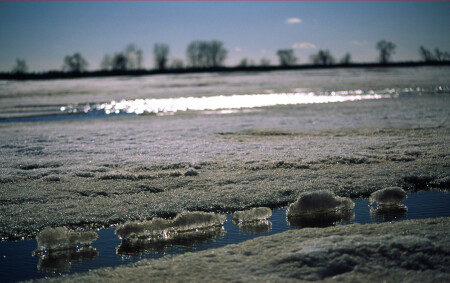 Караван льдинок