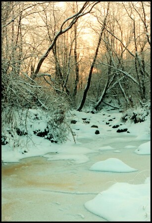Тихое зимнее утро