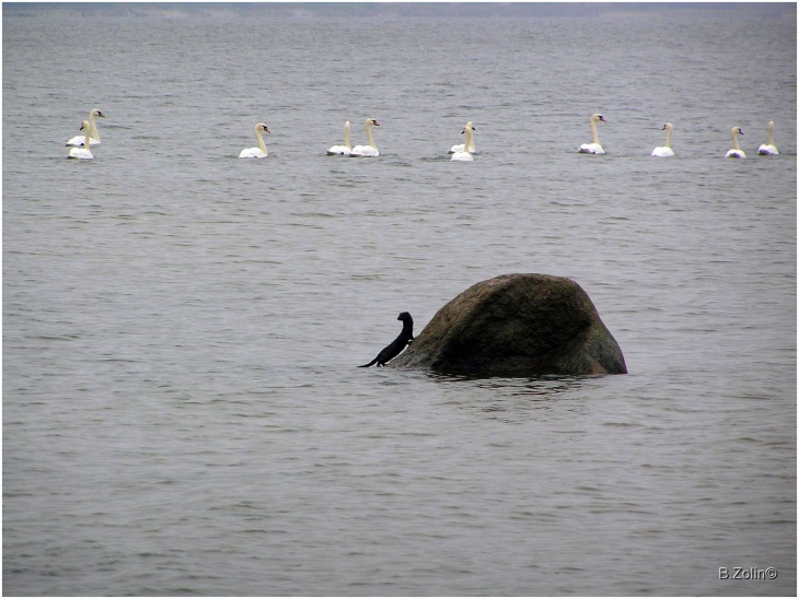 Природа отношений