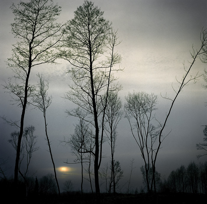 late silhouettes