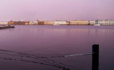 сиреневый туман