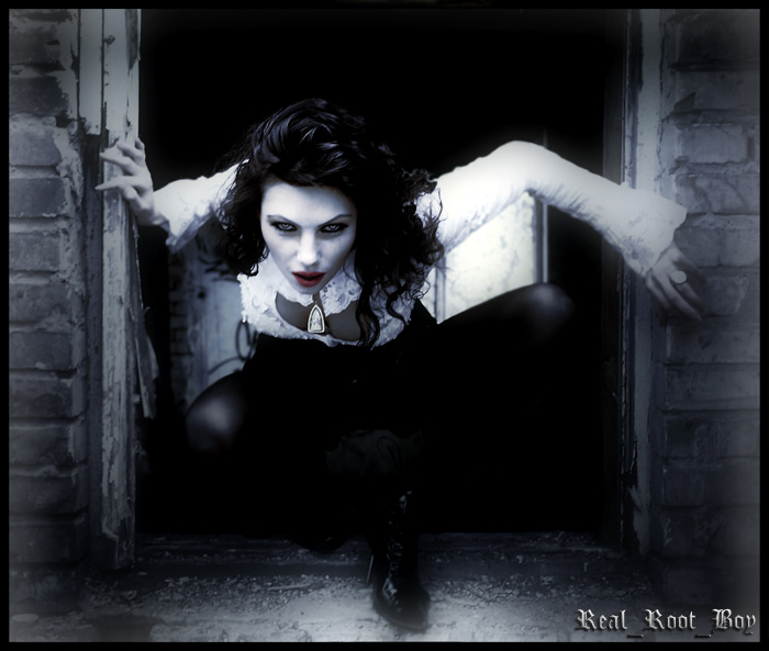 Tarantinomania theme