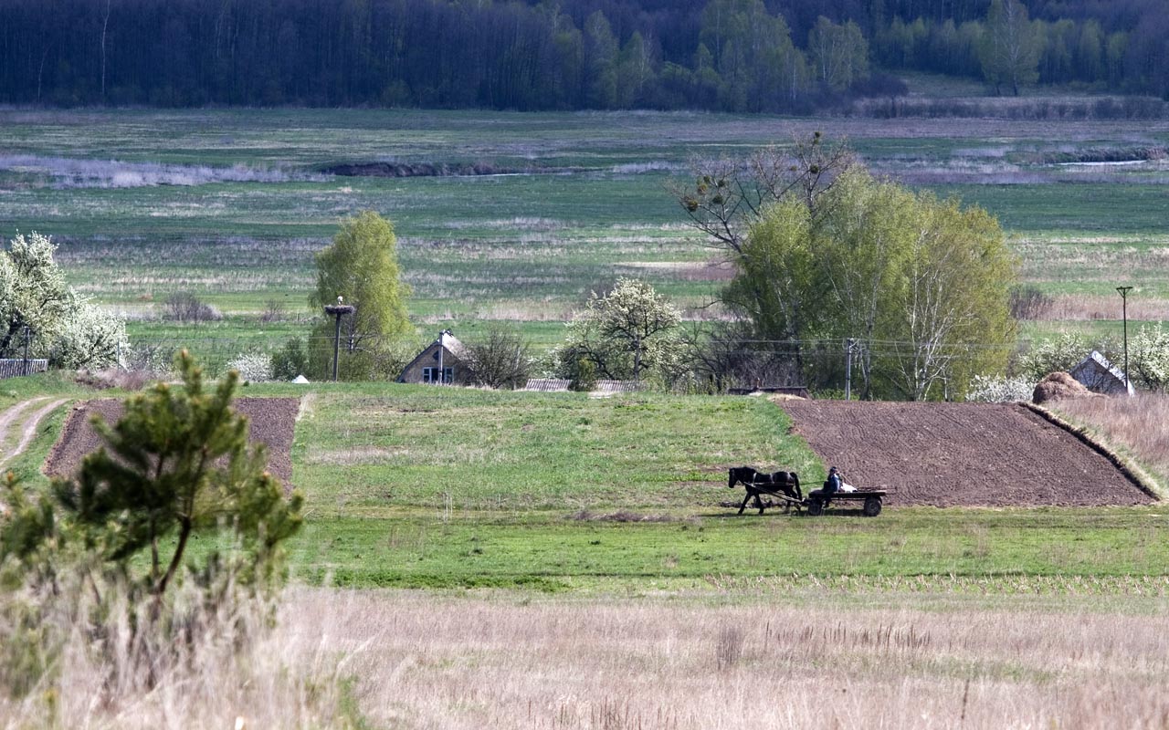 деревенский пейзаж