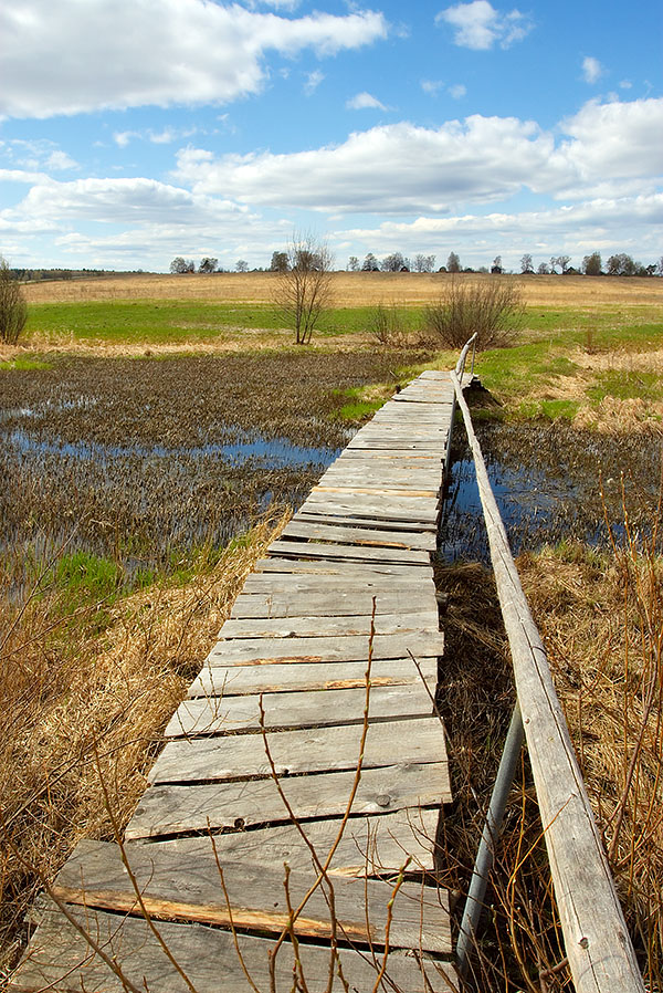 шаткий путь