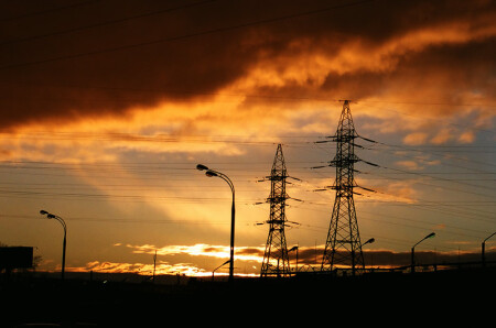 джунгли города