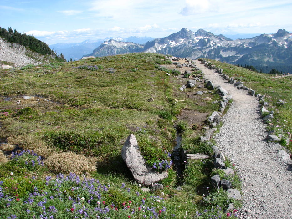 trails#1