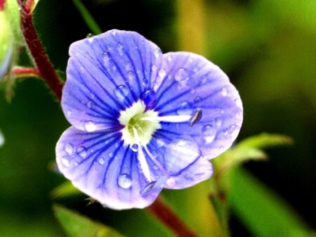 Мал и непригляден