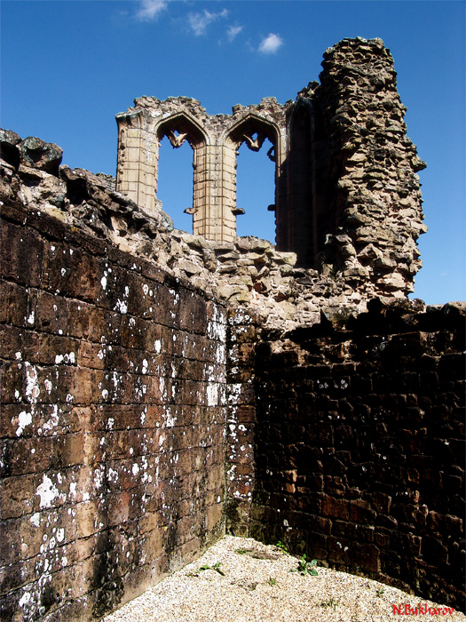 Kenilworth Castle (2)