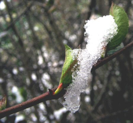 1 мая (продолжение)