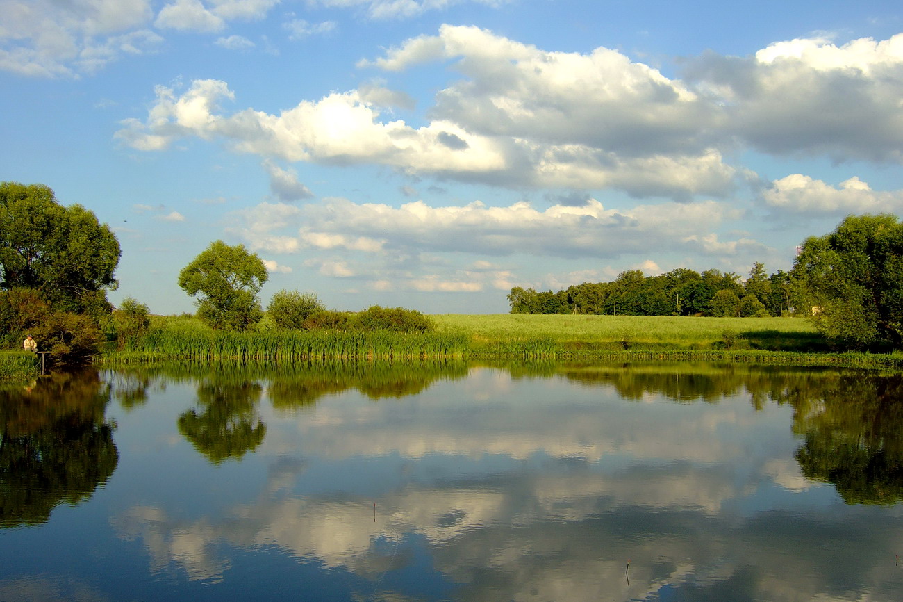 А какие здесь карасики водятся...!!!