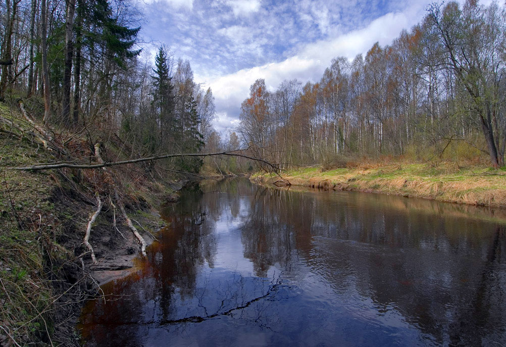 Черная речка