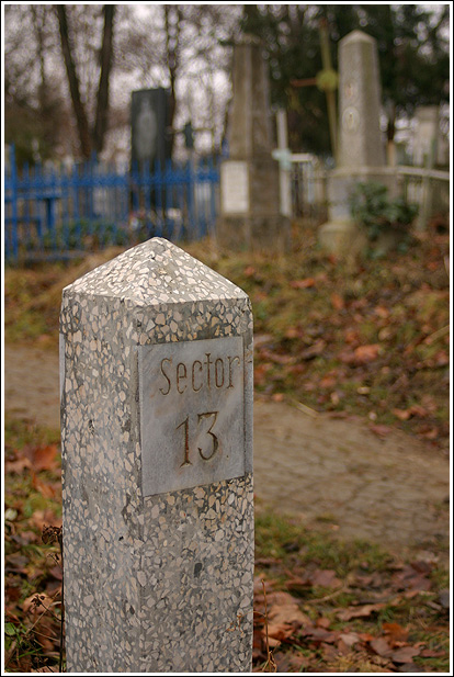 Sector 13
